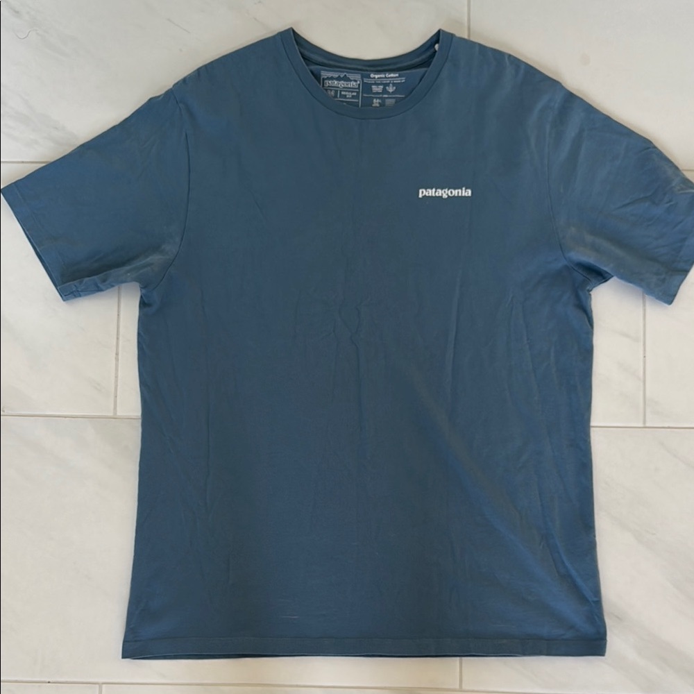 Patagonia Blue Short Sleeve Tee